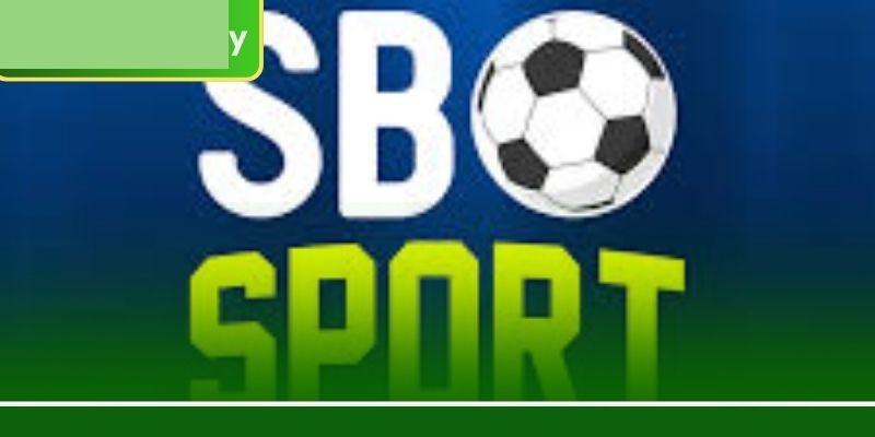 এসবিও স্পোর্ট শেখার সহজ পথ, 9777BET গাইডে