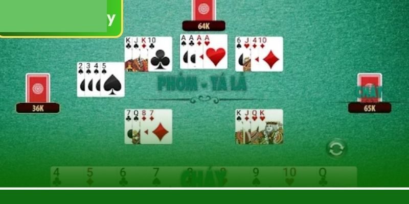 ফোম: নিয়ম, পরিভাষা ও সতর্কতা | 9777BET